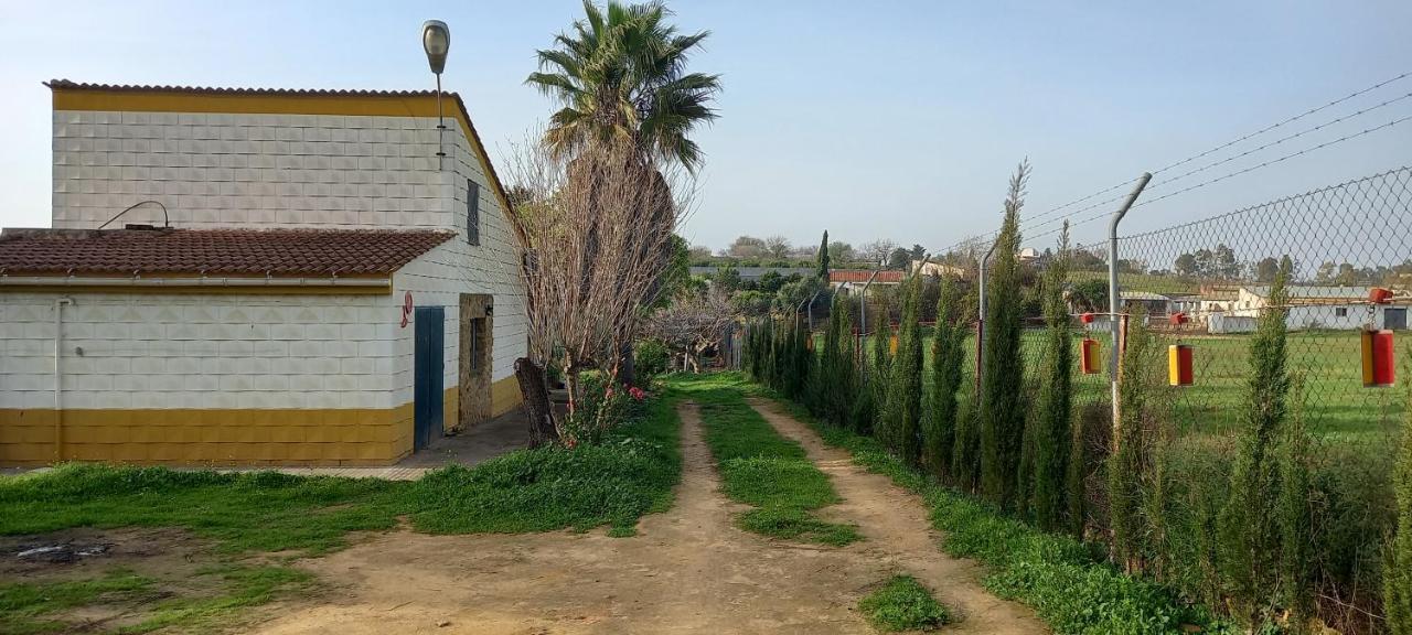 فيلا كارمونافي Huerta El Genoves المظهر الخارجي الصورة
